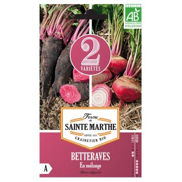 Rote Bete Mix (Crapaudine, Chioggia) Bio - La Ferme de Sainte-Marthe