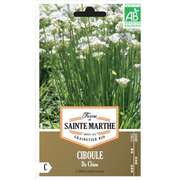 Schnittknoblauch Samen Bio- Ferme de Ste Marthe