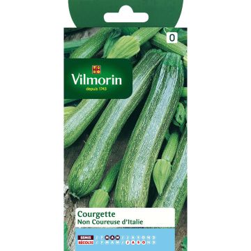 Courgette non coureuse d'Italie - Vilmorin