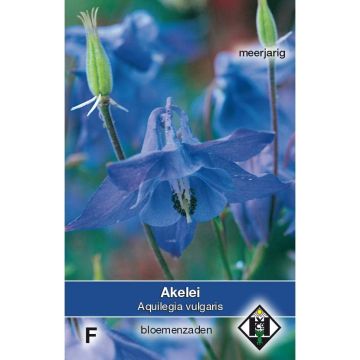 Aquilegia vulgaris (Samen) - Gemeine Akelei