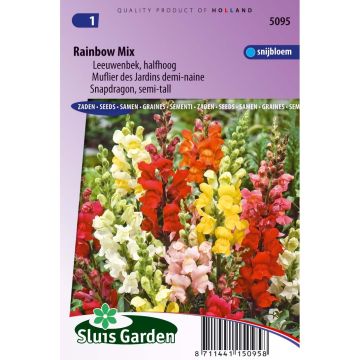 Löwenmäulchen Rainbow (Samen) - Antirrhinum