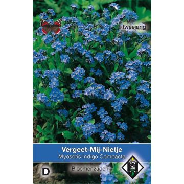 Vergissmeinnicht Indigo Compacta (Samen) - Myosotis sylvatica