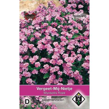 Vergissmeinnicht Rosa (Samen) - Myosotis sylvatica