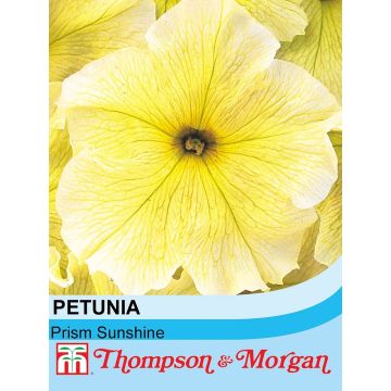 Petunia Prism Sunshine F1 (Samen)