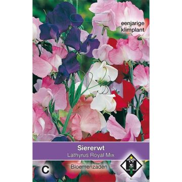 Duftwicke Royal Mix (Samen) - Lathyrus odoratus