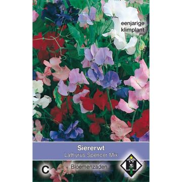 Duftwicke Spencer mix (Samen) - Lathyrus odoratus