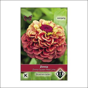 Garten-Zinnie Queen Red Lime (Samen)