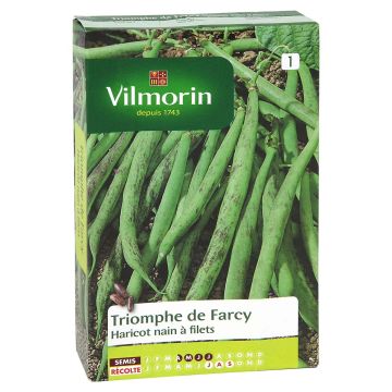 Haricot nain à filet Triomphe de Farcy - Vilmorin