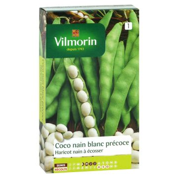 Garten-Bohne Coco Blanc - Vilmorin