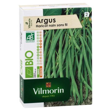 Zwergbohne Argus Bio - Vilmorin