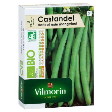 Zwergbohne Castandel Bio - Vilmorin