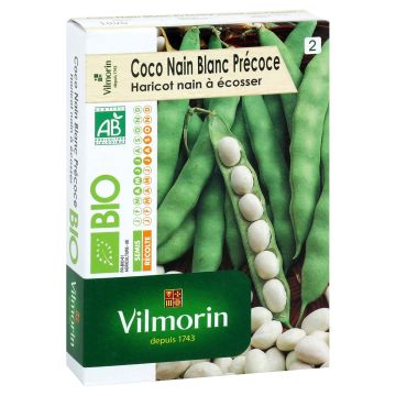 Haricot nain à écosser Coco Blanc précoce Bio - Vilmorin