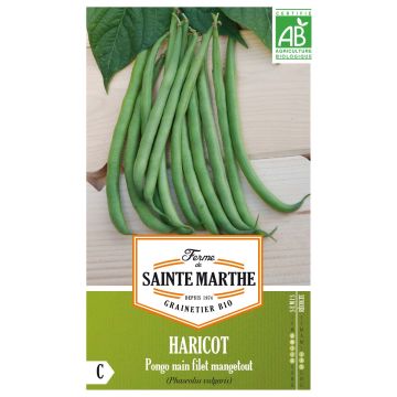 Haricot nain à filet Pongo Bio