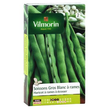 Stangenbohne Soissons gros blanc - Vilmorin