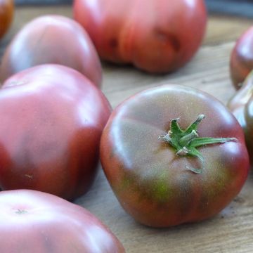 Tomate Noire de Crimée Bio