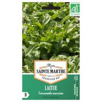 Schnitt-Salat Radichetta Bio - Ferme de Sainte Marthe