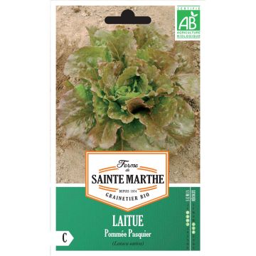 Kopfsalat Pasquier Bio - Ferme de Sainte Marthe