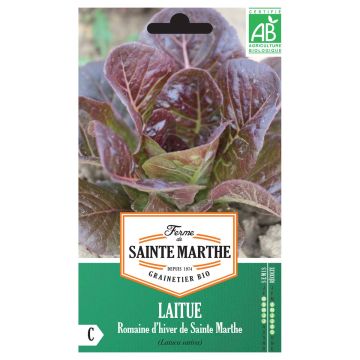 Römersalat Romaine d'Hiver de Sainte-Marthe Bio