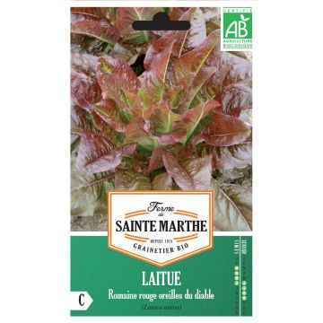 Römersalat Romaine Rouge Oreilles du Diable Bio - Ferme de Sainte Marthe