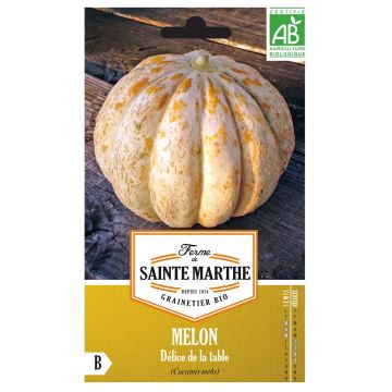 Melone Délice de la Table Bio - Ferme de Sainte Marthe