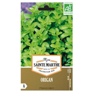 Gewöhnlicher Dost Bio - Ferme de Sainte Marthe - Origanum vulgare