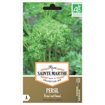 Garten-Petersilie Vert foncé - Ferme de Sainte Marthe - Petroselinum crispum