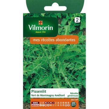 Wiesen-Löwenzähne Vert de Montmagny amélioré - Vilmorin - Taraxacum officinale