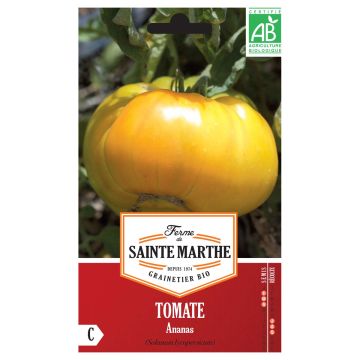 Fleischtomate Ananas Bio - Ferme de Sainte Marthe