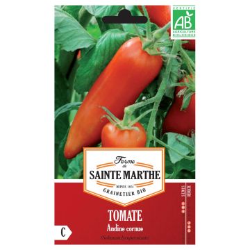 Fleischtomate Andine Cornue - Cornue des Andes Bio