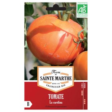 Tomate La Carotina Bio