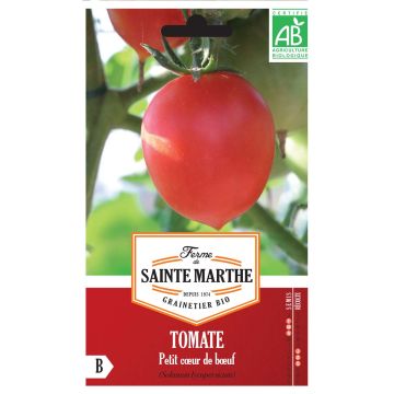 Tomate Petit Coeur De Boeuf Bio