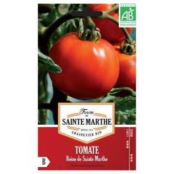 Tomate Reine de Sainte-Marthe Bio