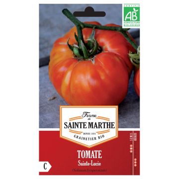 Tomate Sainte Lucie Bio