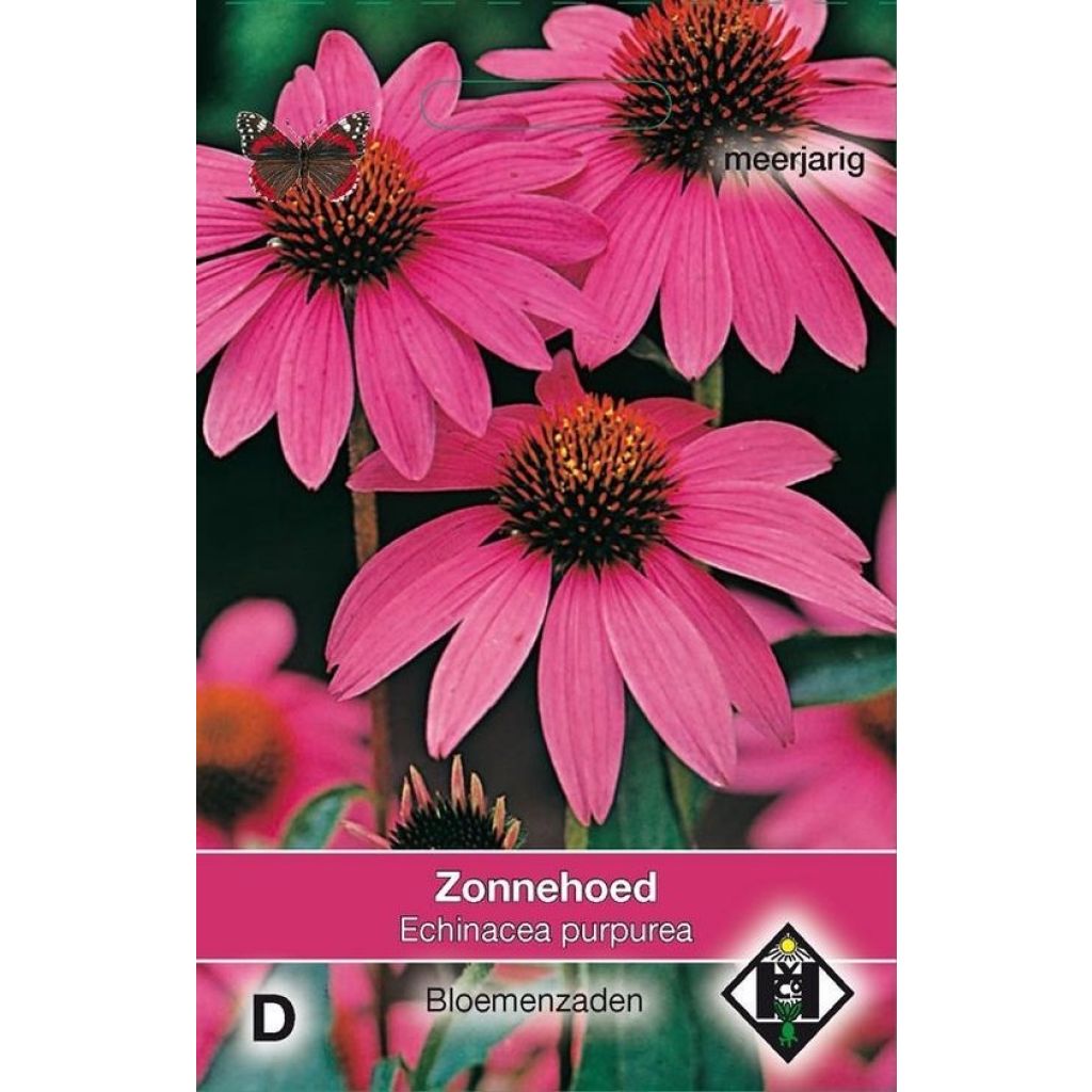 Echinacea purpurea Zonnehoed (Samen) - Sonnenhut