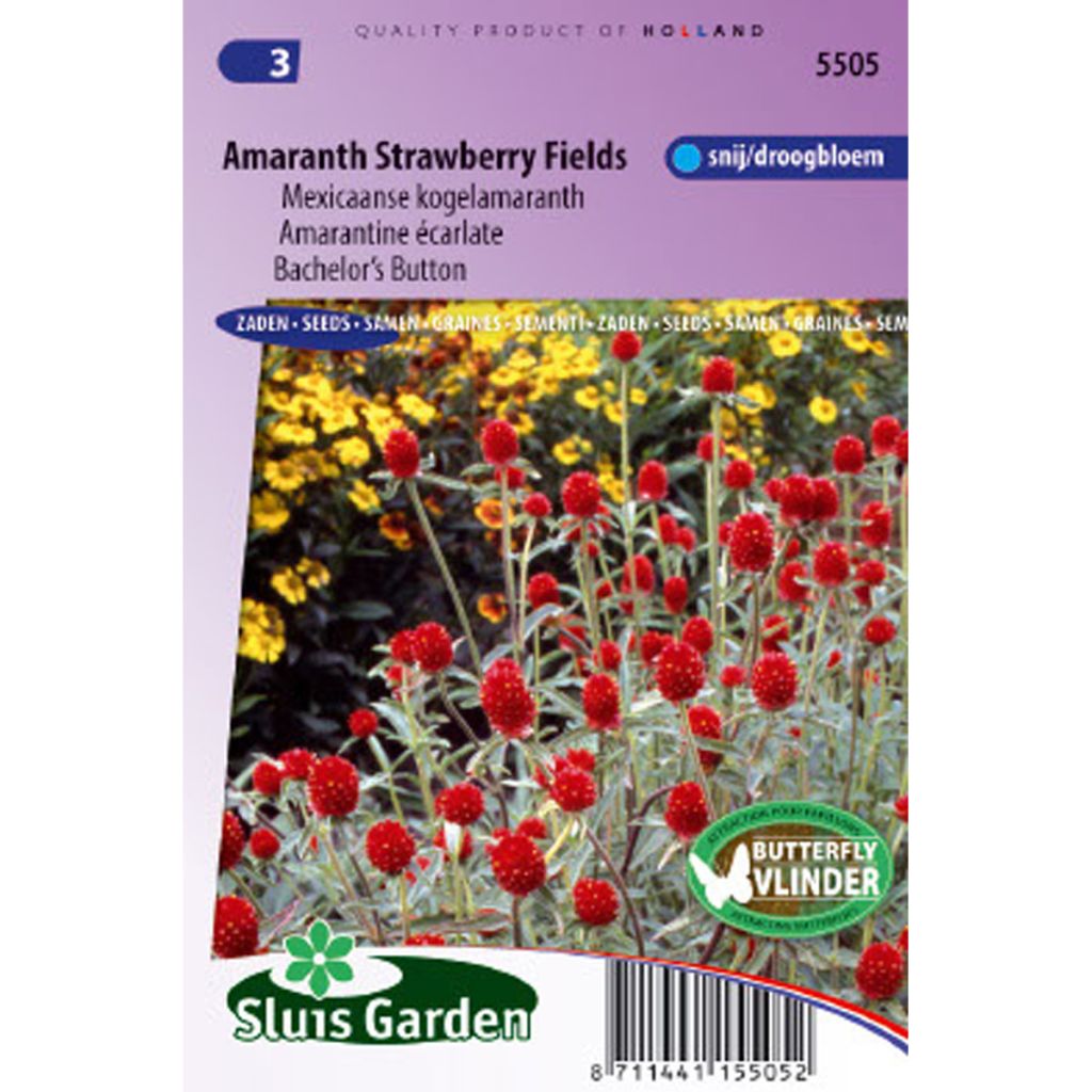 Graines d'Amarantine Strawberry Fields - Gomphrena haageana