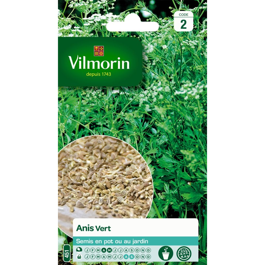 Anis - Vilmorin - Pimpinella anisum