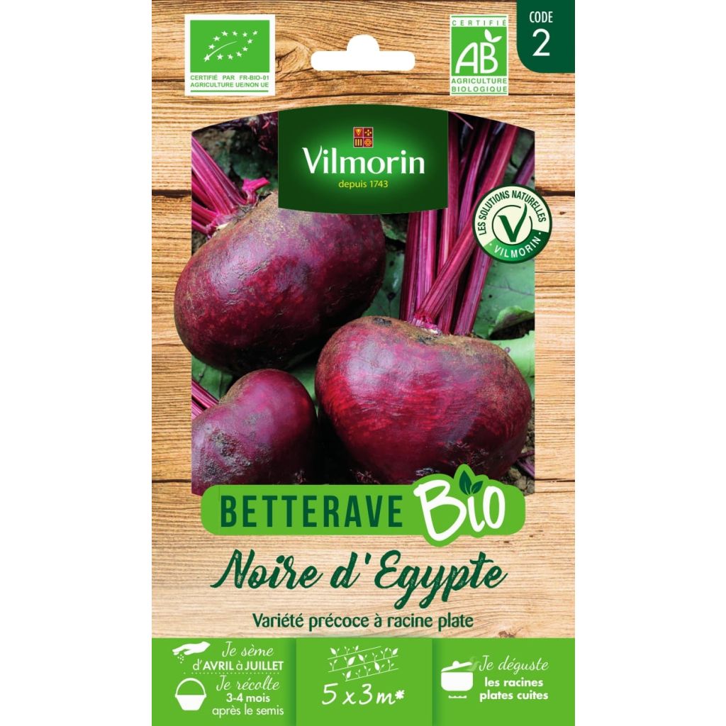 Rote Bete Egypte Bio- Vilmorin