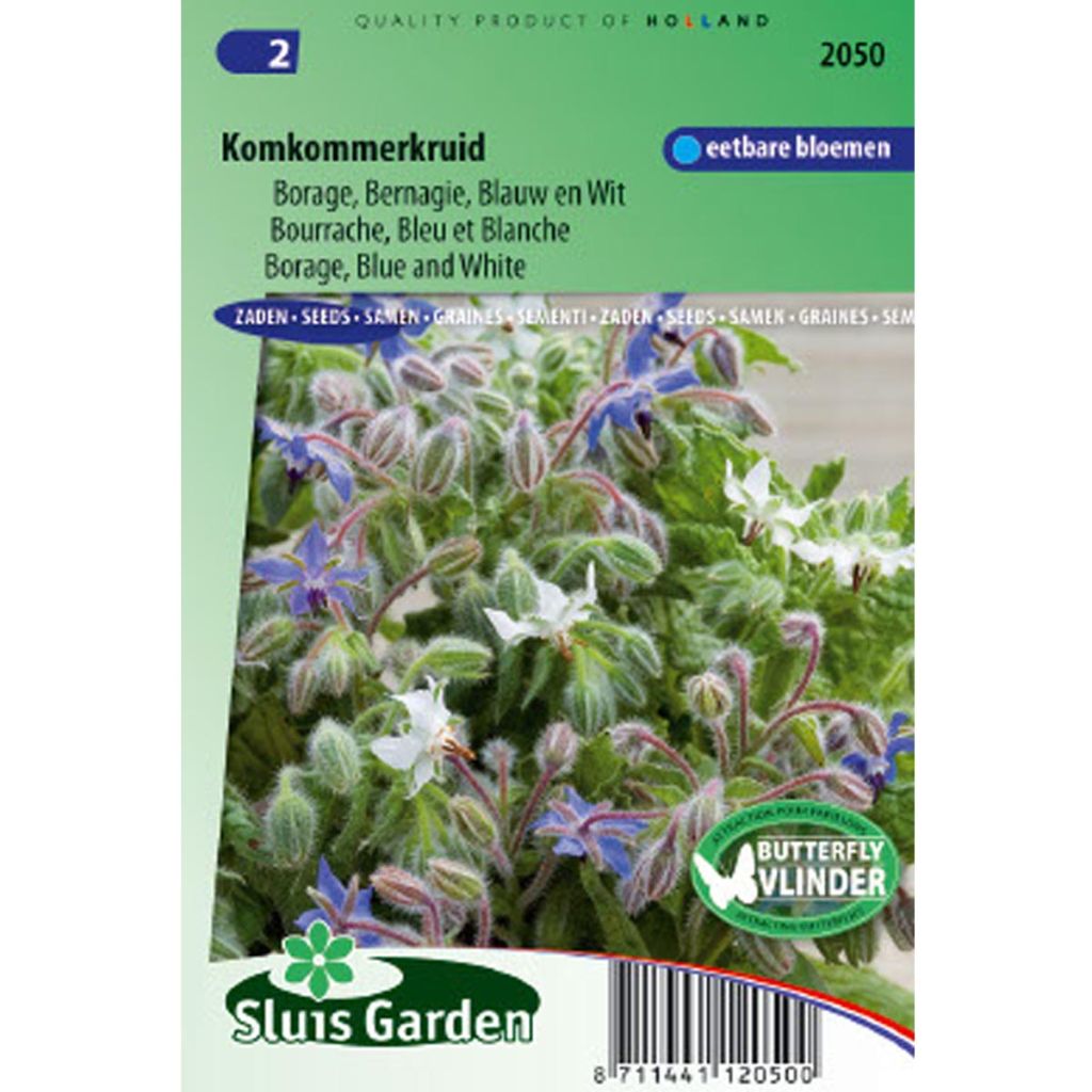 Borretsch Blau und weiß - Borago officinalis