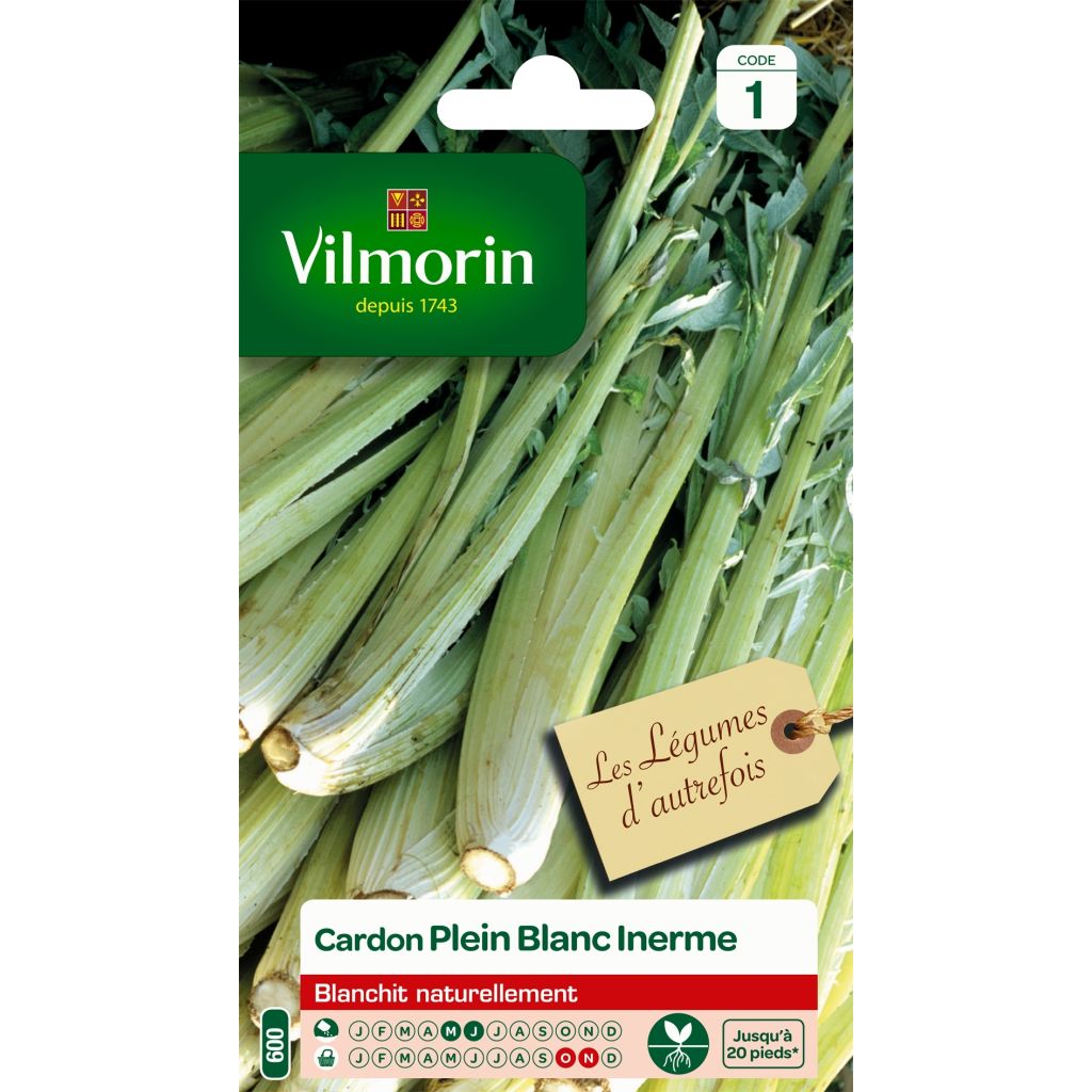 Cardon plein blanc inerme – Vilmorin