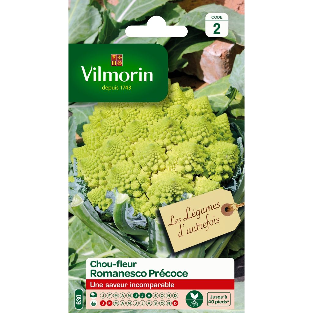 Brokkoli Romanesco - Vilmorin