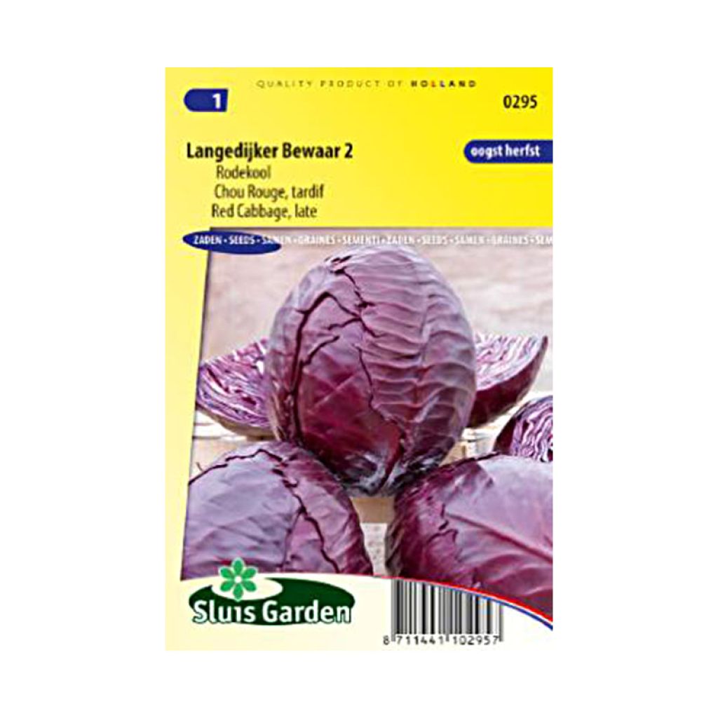 Rotkohl Langedijker Bewaar 2