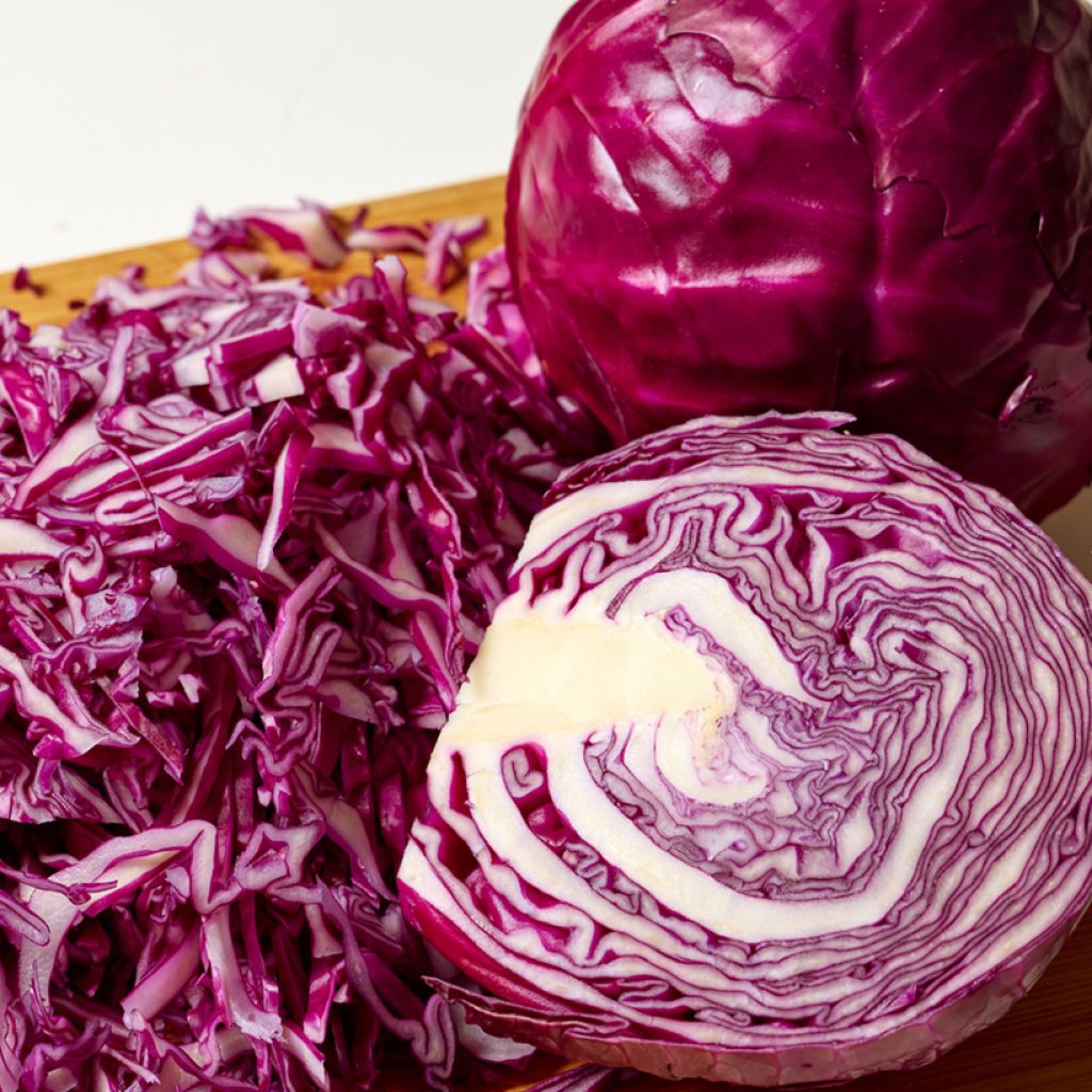 Rotkohl Rouge Gros