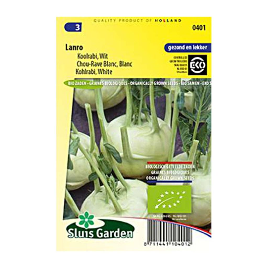 Kohlrabi Lanro Blanc BIO