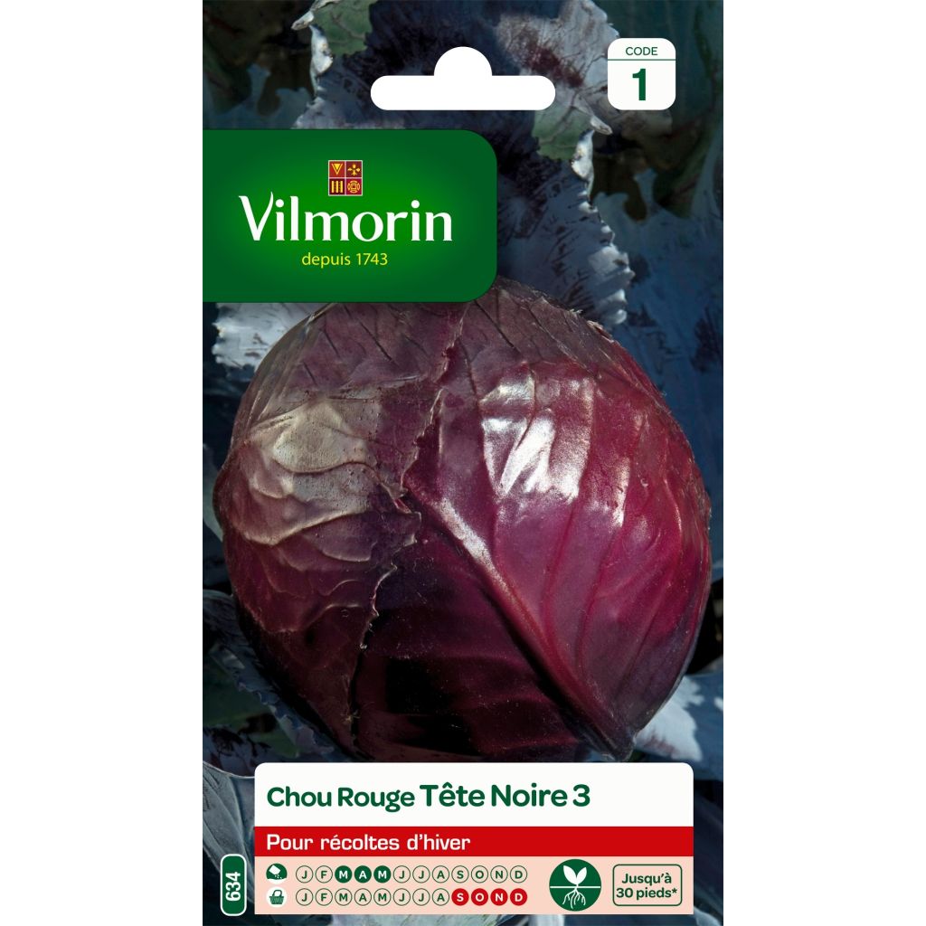 Rotkohl Tête Noire 3 - Vilmorin