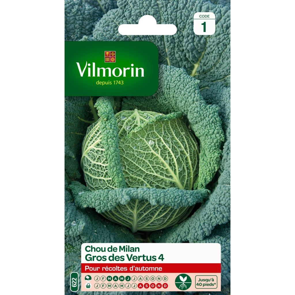 Chou de Milan Gros des Vertus - Vilmorin