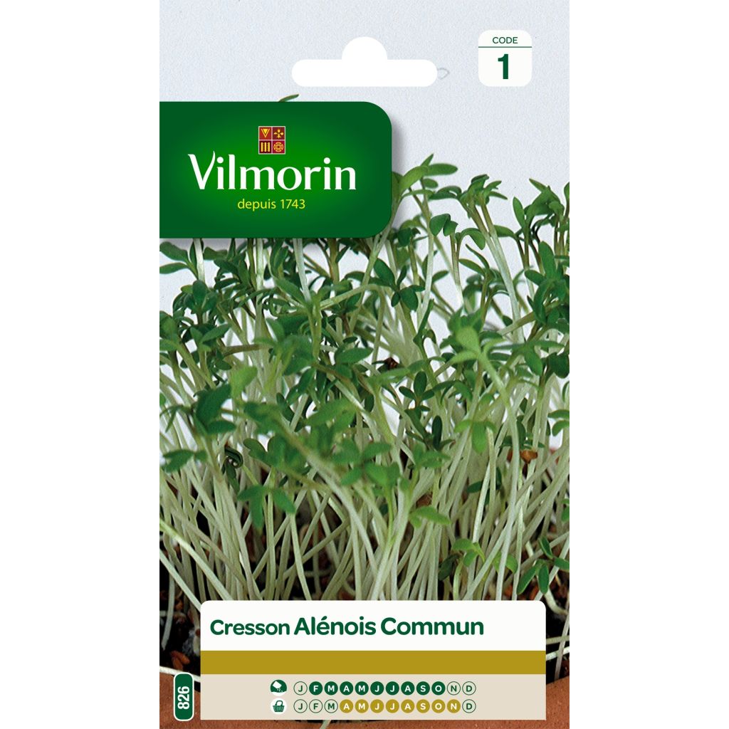 Garten-Kresse - Vilmorin - Lepidium sativum