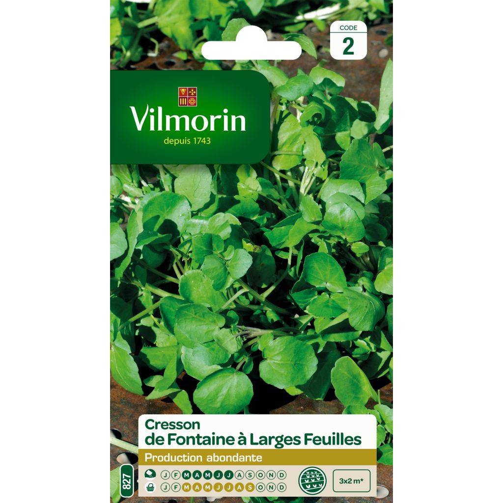 Echte Brunnenkresse - Vilmorin - Nasturtium officinale