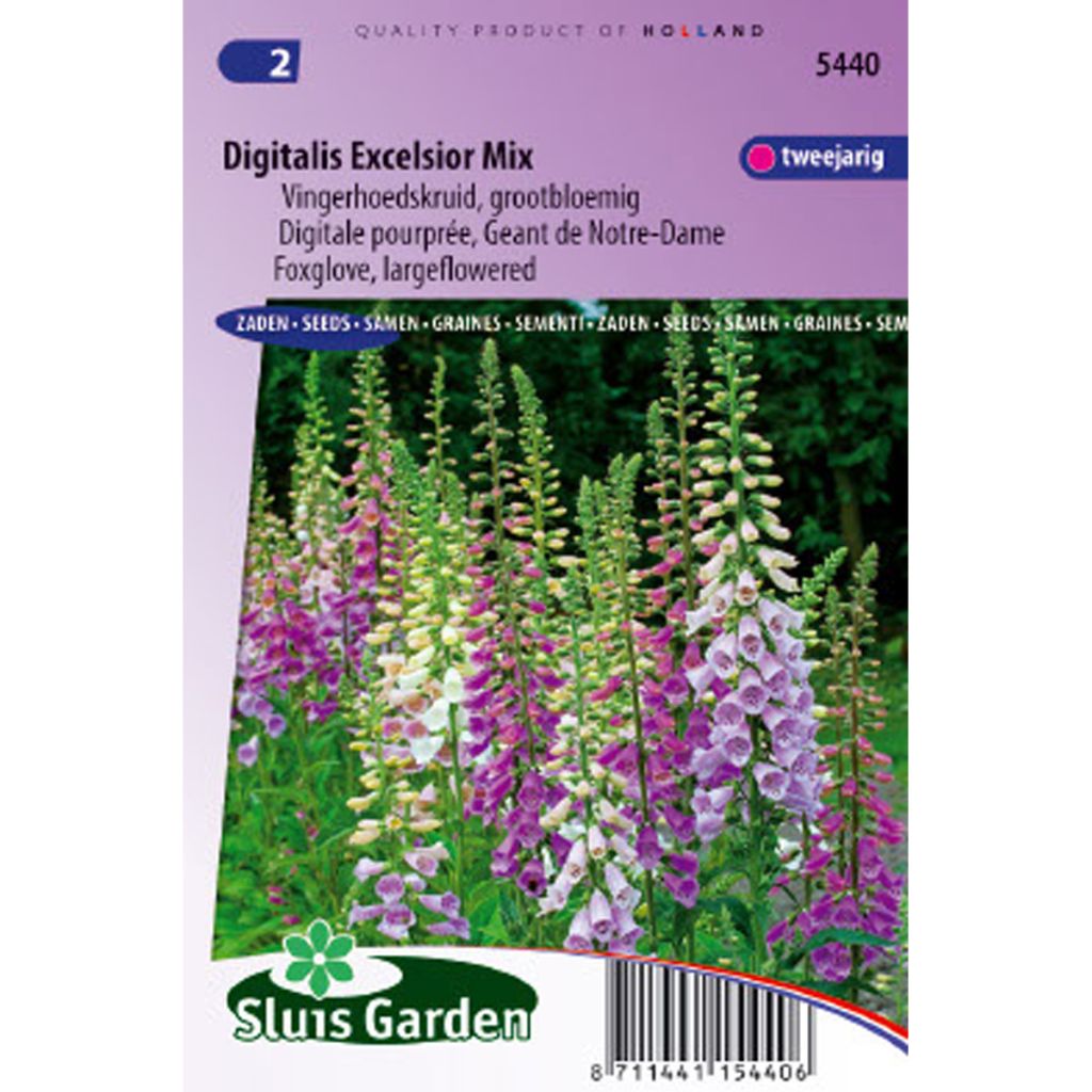 Fingerhut Excelsior Mix (Samen) - Digitalis purpurea