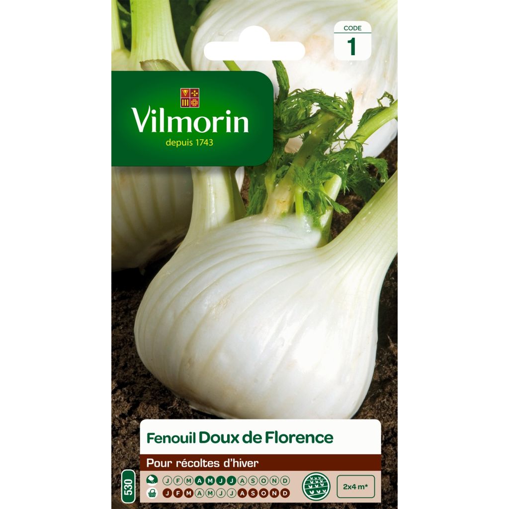 Fenchel de Florence - Vilmorin