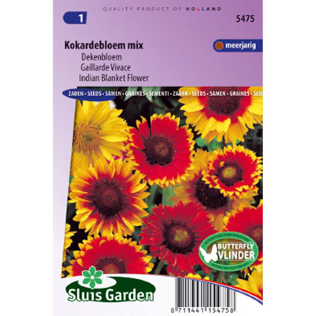 Kokardenblume (Samen) - Gaillardia aristata